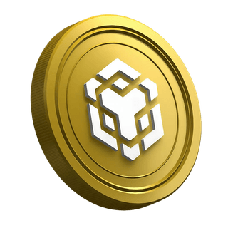 A Binance BNB cryptocurrency coin on a guide page for new traders